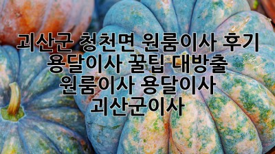 괴산군 청천면 원룸이사 후기🏡 용달이사 꿀팁 대방출! #원룸이사 #용달이사 #괴산군이사